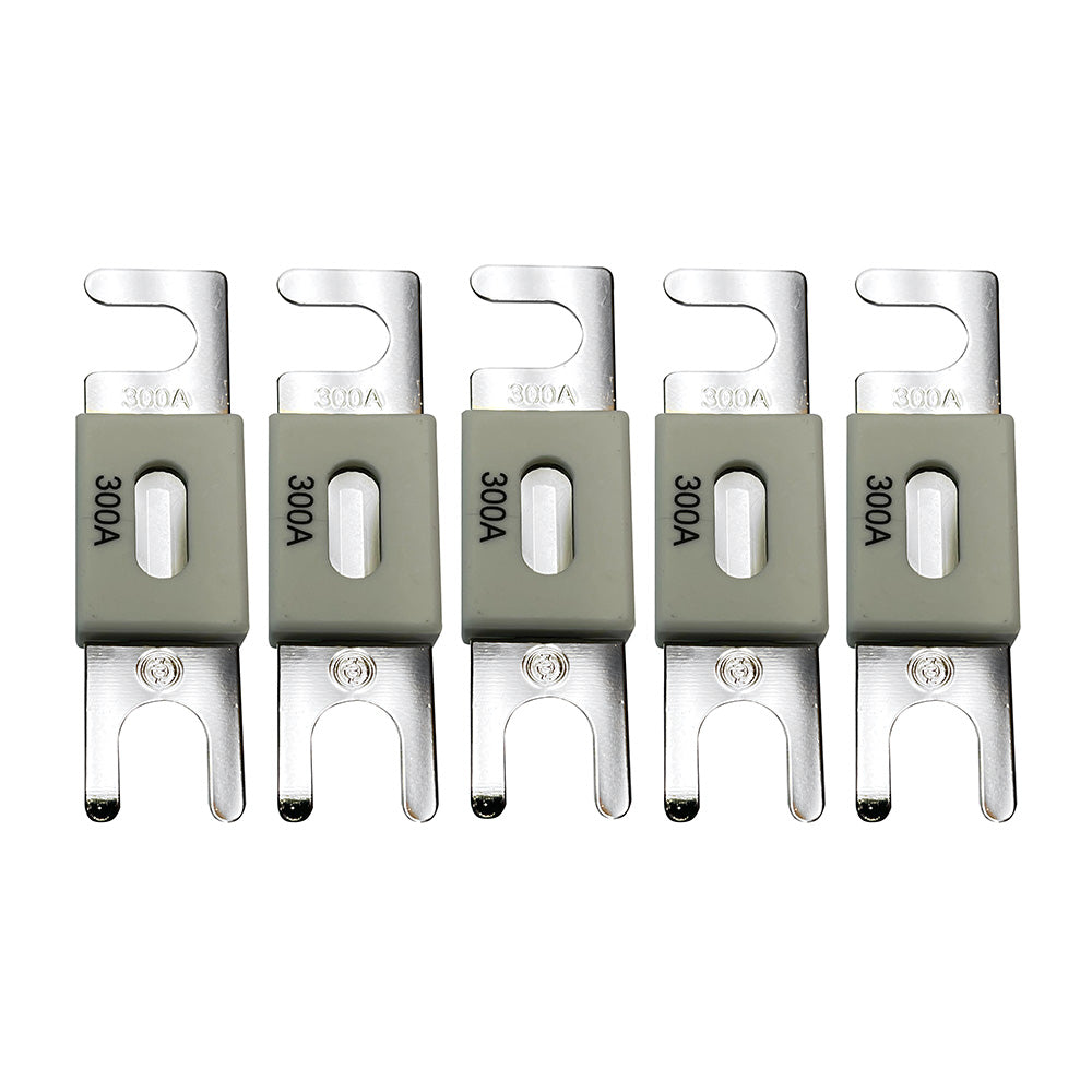 Victron Energy, Victron ANL-Fuse 300A/80V f/48V Products (Package of 5)