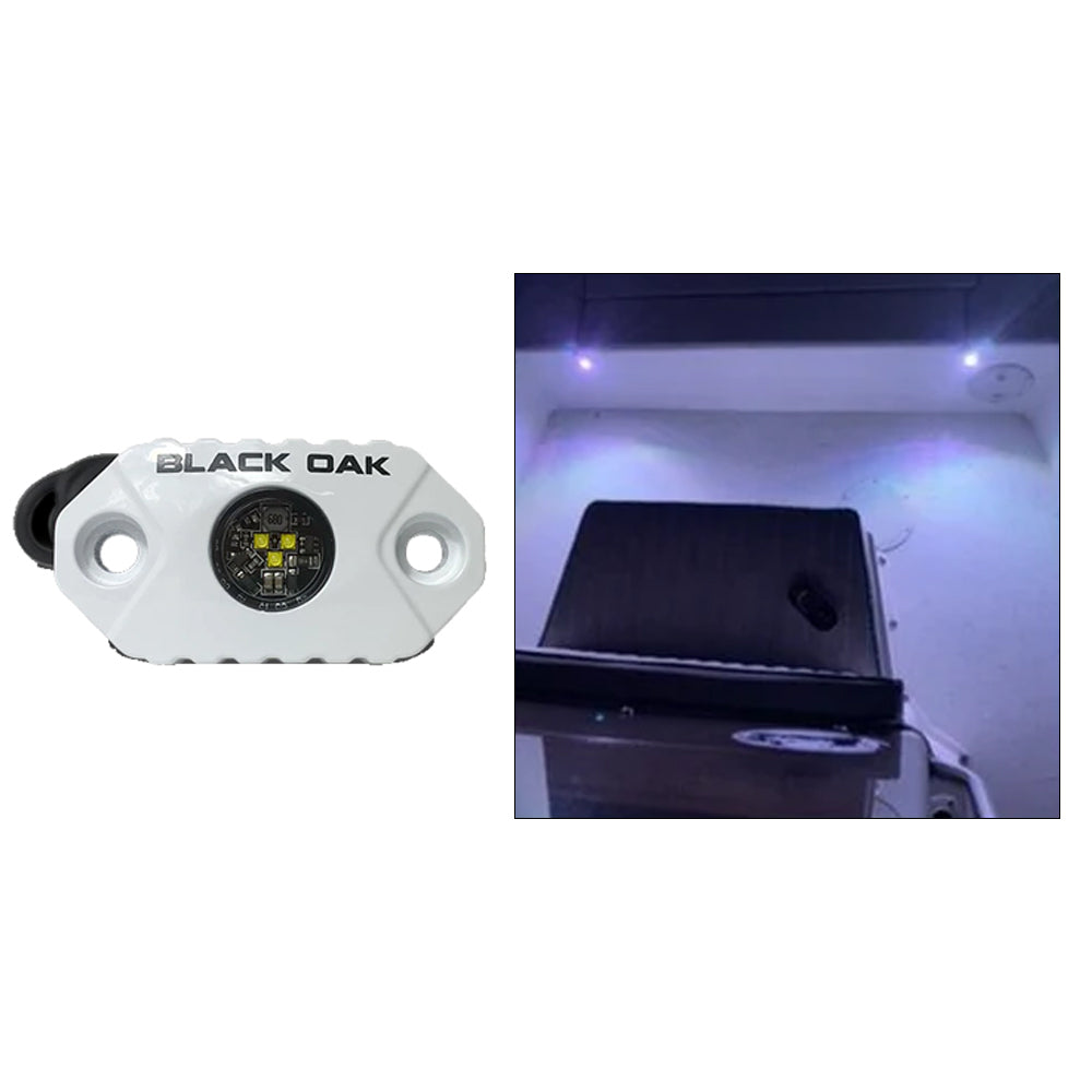 Black Oak LED, Black Oak Rock Accent Light - White LEDs - White Housing