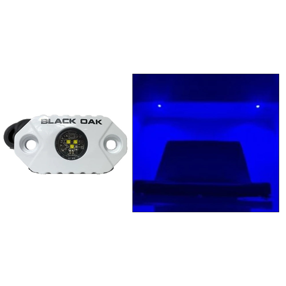 Black Oak LED, Black Oak Rock Accent Light - Blue LEDs - White Housing