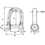Wichard Marine, Wichard Self-Locking Allen Head Pin D Shackle - 6mm Diameter - 1/4"