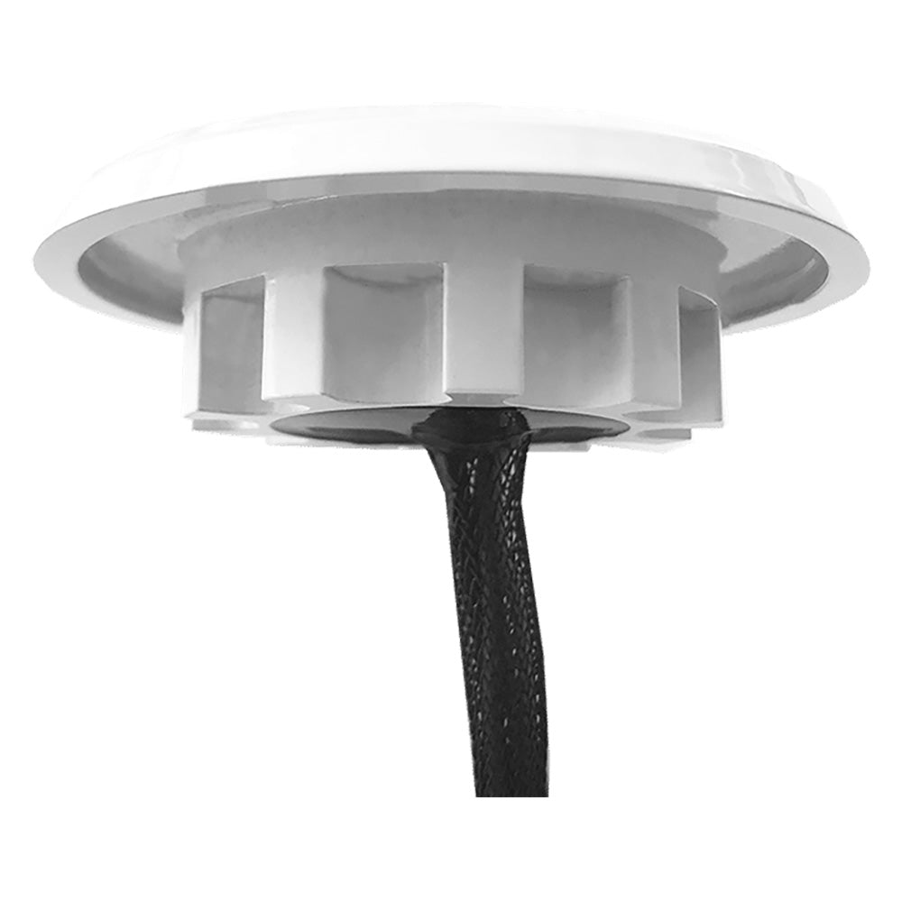 Shadow-Caster LED Lighting, Shadow-Caster Downlight - White Housing - Bimini Blue