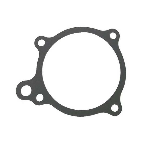 Sierra, Water Pump Gasket