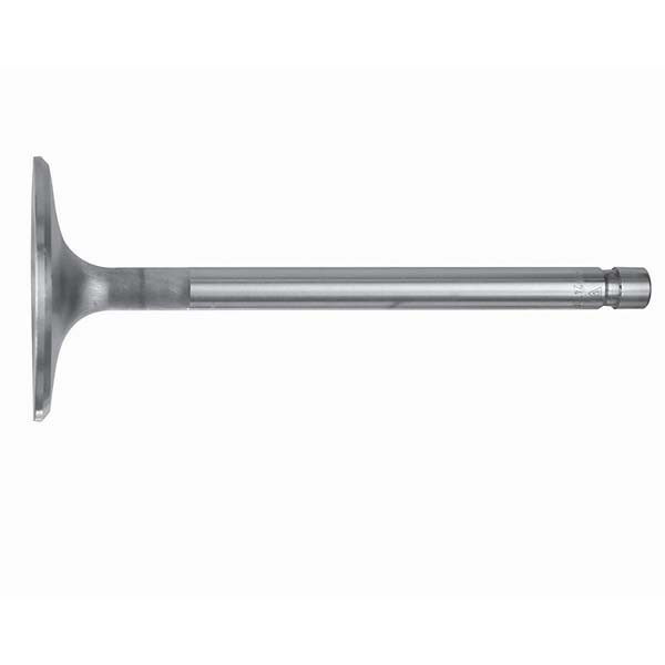 Sierra, Intake Valve 202 In